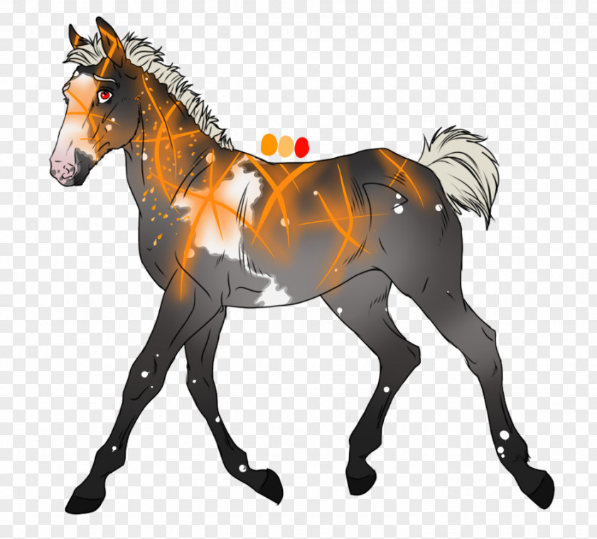 Mustang Foal Stallion Mare Colt PNG