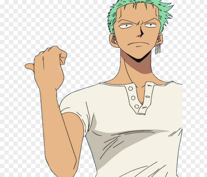 One Piece Roronoa Zoro Vinsmoke Sanji DeviantArt PNG