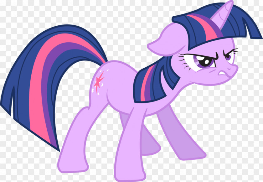 Paintbrush 0 1 Twilight Sparkle My Little Pony: Friendship Is Magic PNG