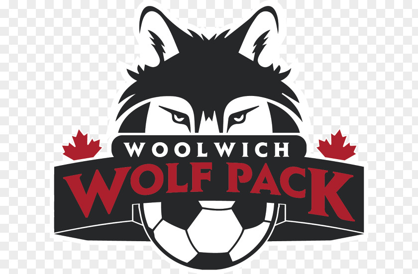 Woolwich Youth Soccer Stock Photography Image Illustration Drawing PNG