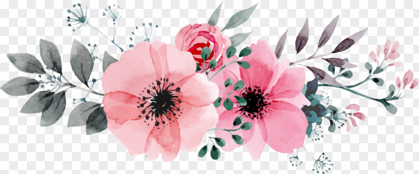 Flower Vector Watercolour Flowers Drawing PNG