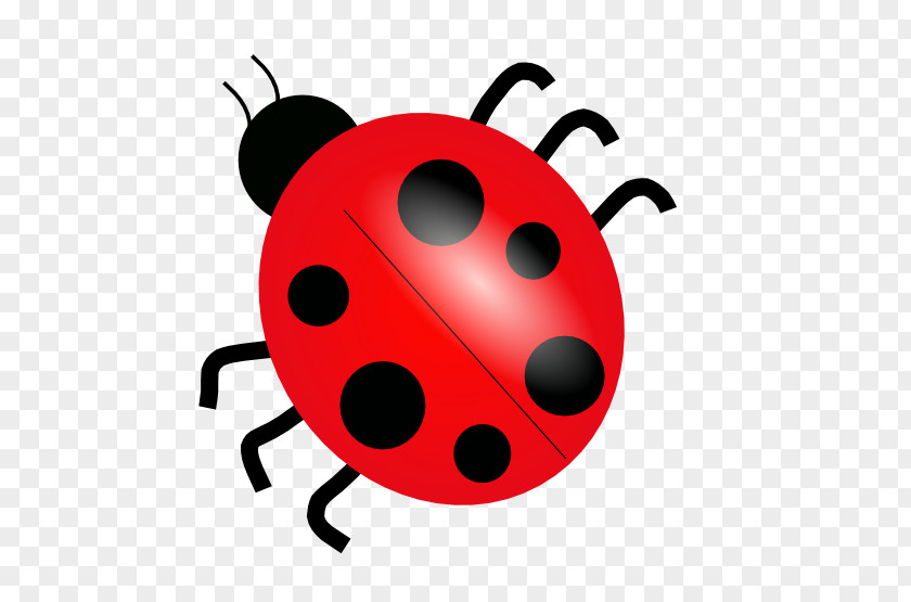 Ladybird Clip Art PNG