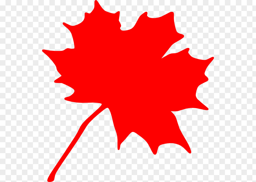 Maples Cliparts Canada Red Maple Leaf Clip Art PNG