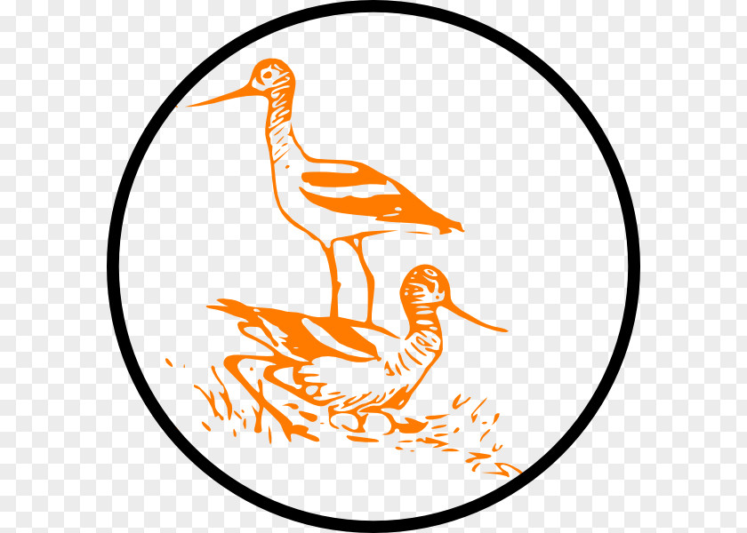 Marsh Sandpiper Bird Cygnini Line Art Clip PNG