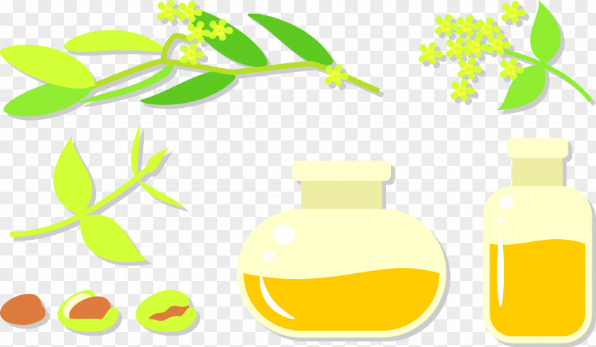Painted Olive Oil In Bottles Raster Graphics PNG