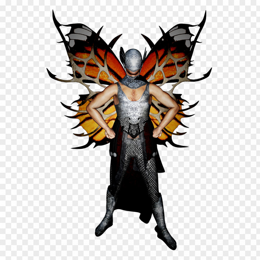 Butterfly Fairy Fantasy Elf Insect Wing PNG