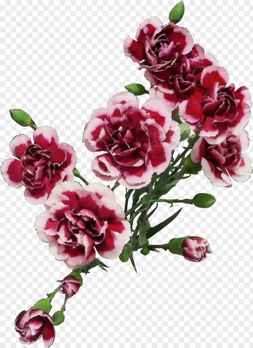 Flower Bouquet PNG