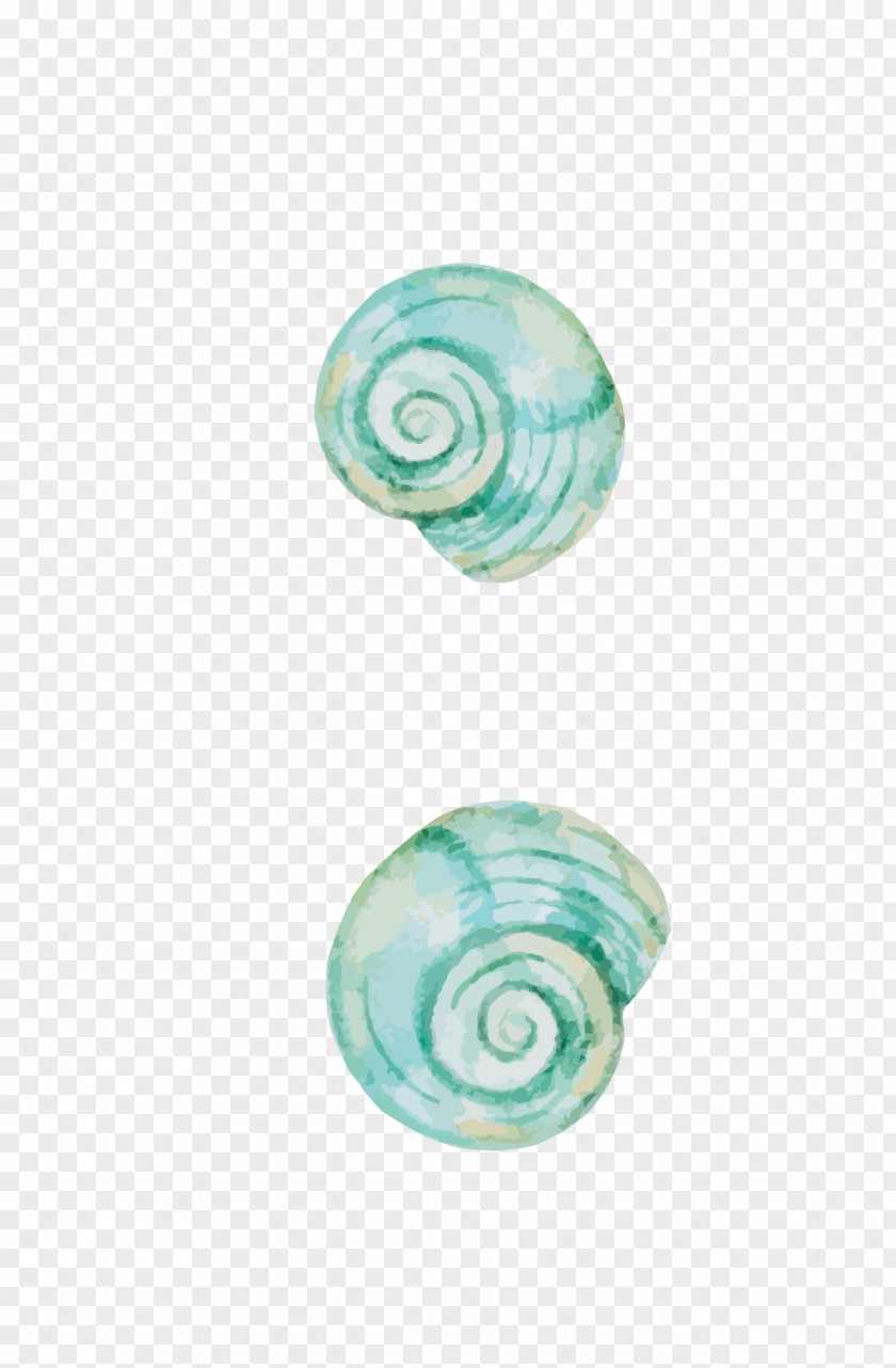 Green Hand-painted Snail Shell Escargot Mollusc Orthogastropoda PNG