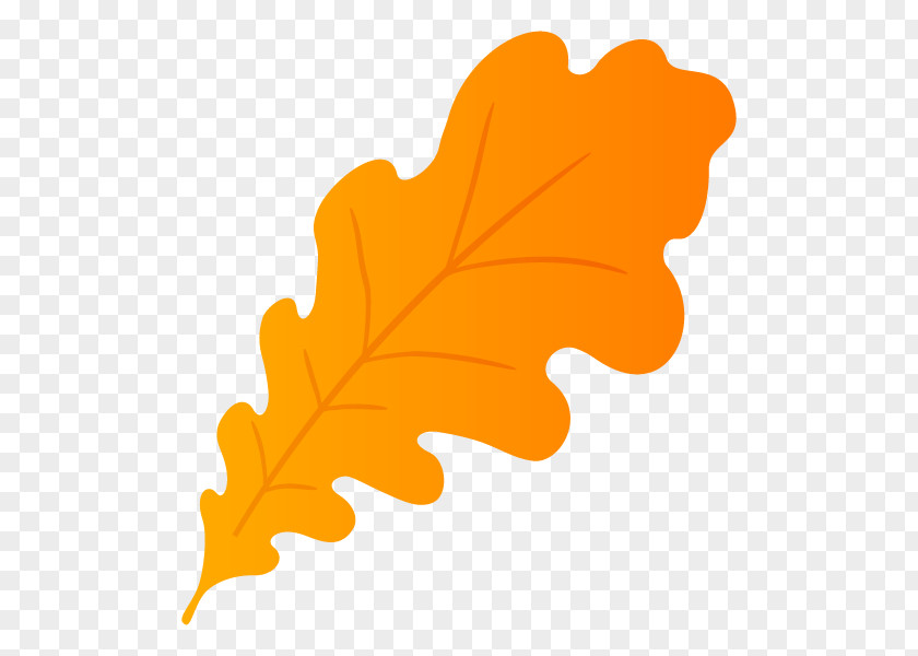 Leaf Tree Orange S.A. Flowering Plant Plants PNG