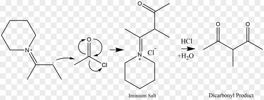 Stork Enamine Alkylation Organocatalysis Nucleophile PNG