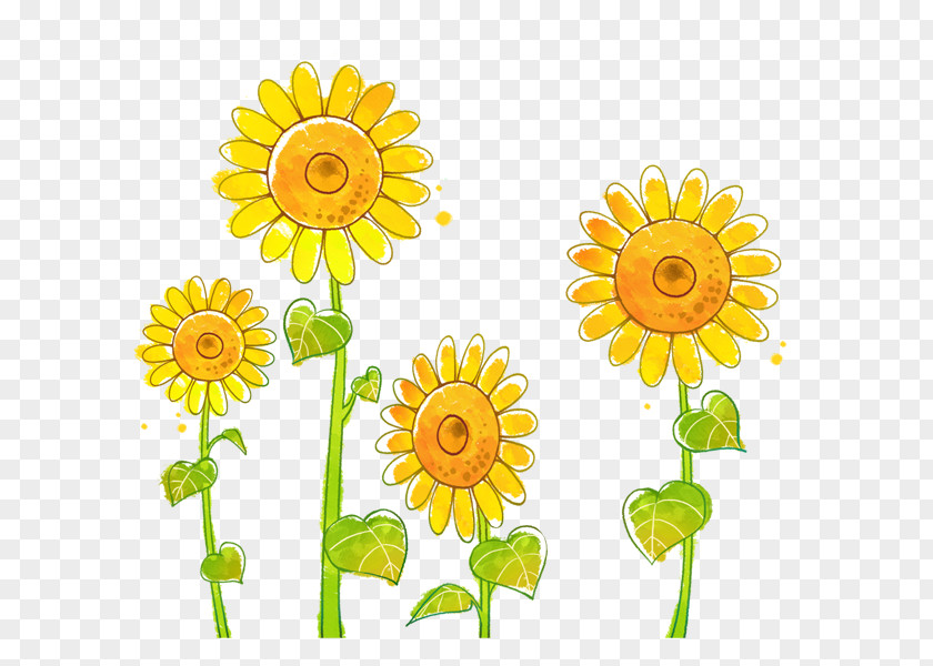 Sunflower Doll Download PNG