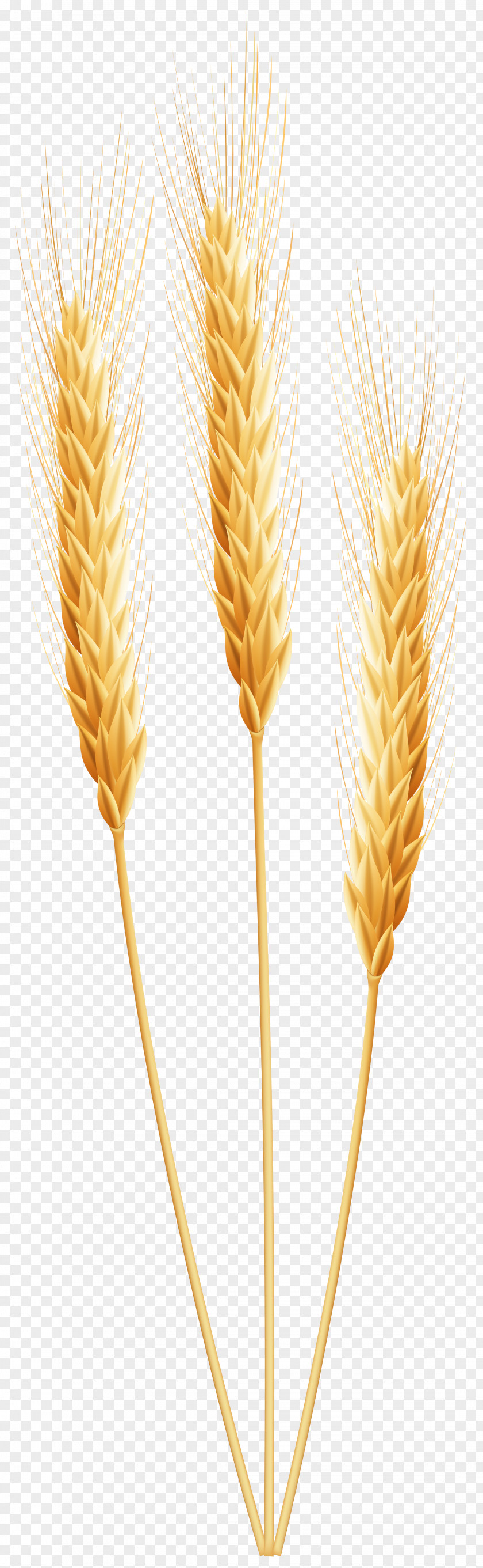 Happy Wheat Cliparts Grain Clip Art PNG
