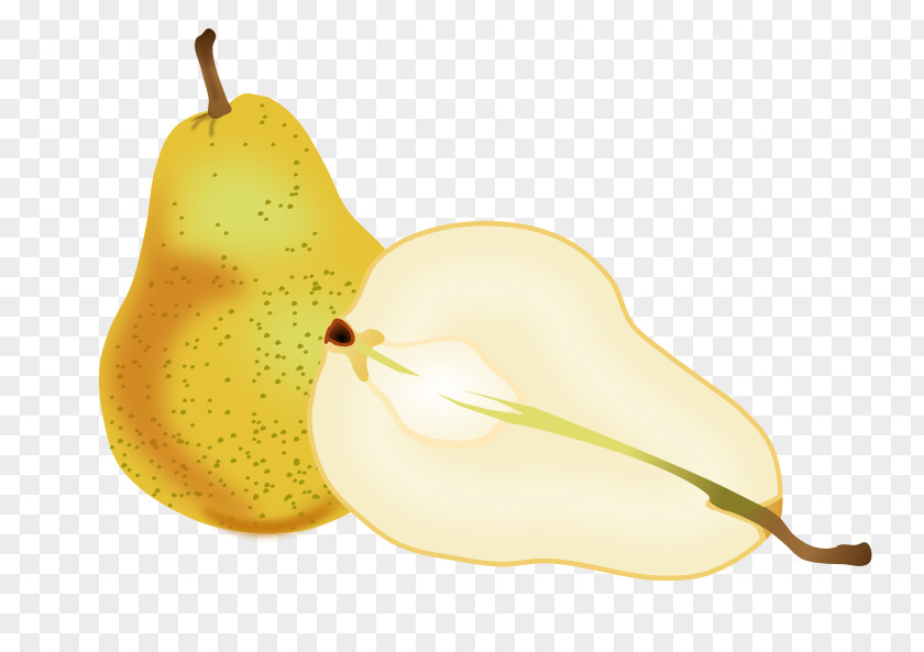 Pear Slices Crisp Fruit Asian Clip Art PNG
