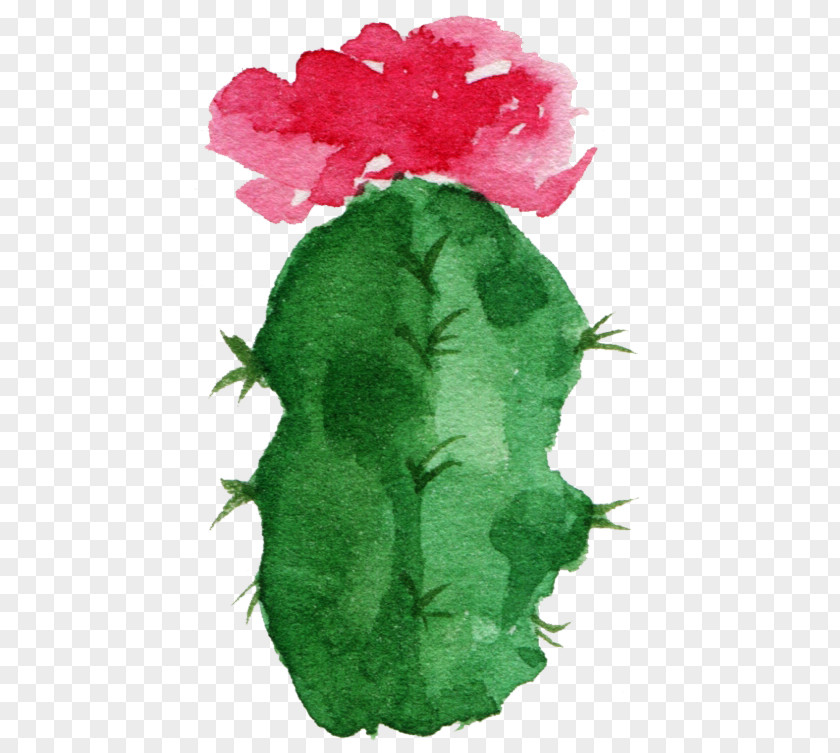 Sen Department Aesthetic Cactus Paper Cactaceae Watercolor Painting Succulent Plant PNG