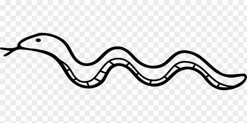 Snake Drawing Reptile Clip Art PNG