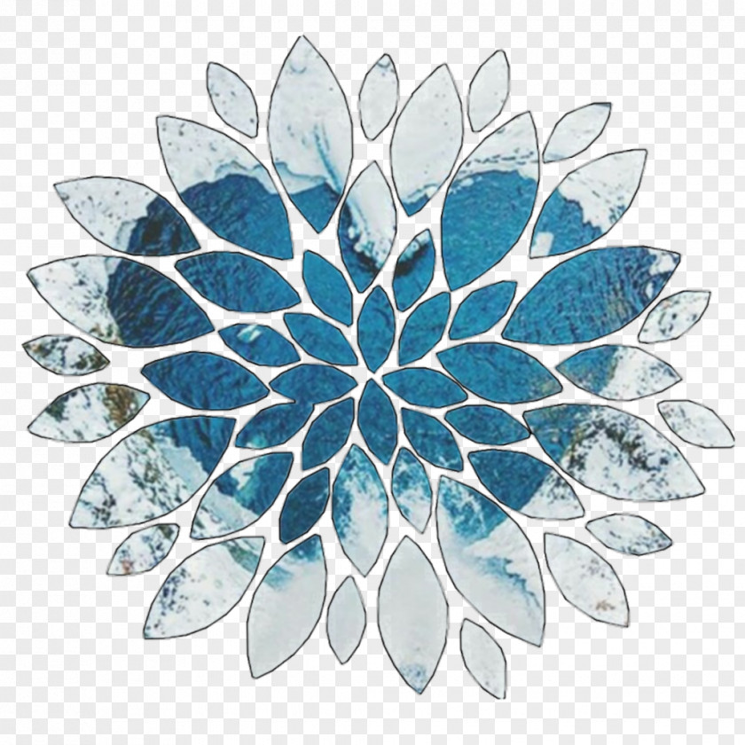 Symmetry Plant Leaf Aqua Glass Pattern PNG