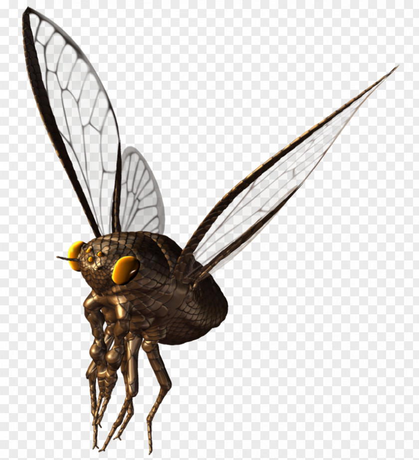 Bee True Bugs Wing Insect Butterfly PNG