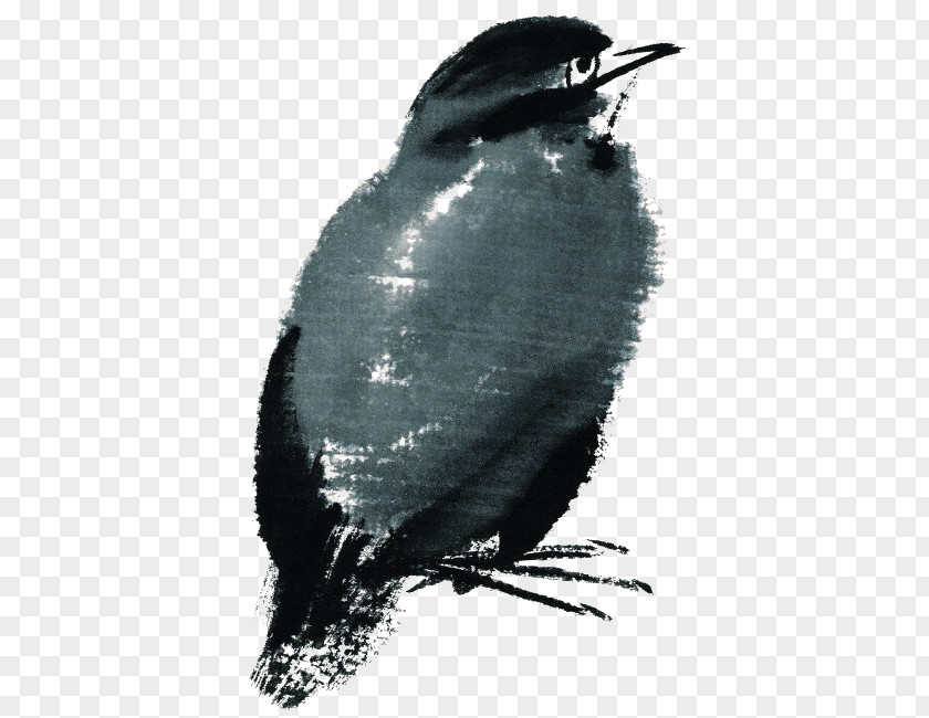 Birds Bird Ink Wash Painting Watercolor PNG