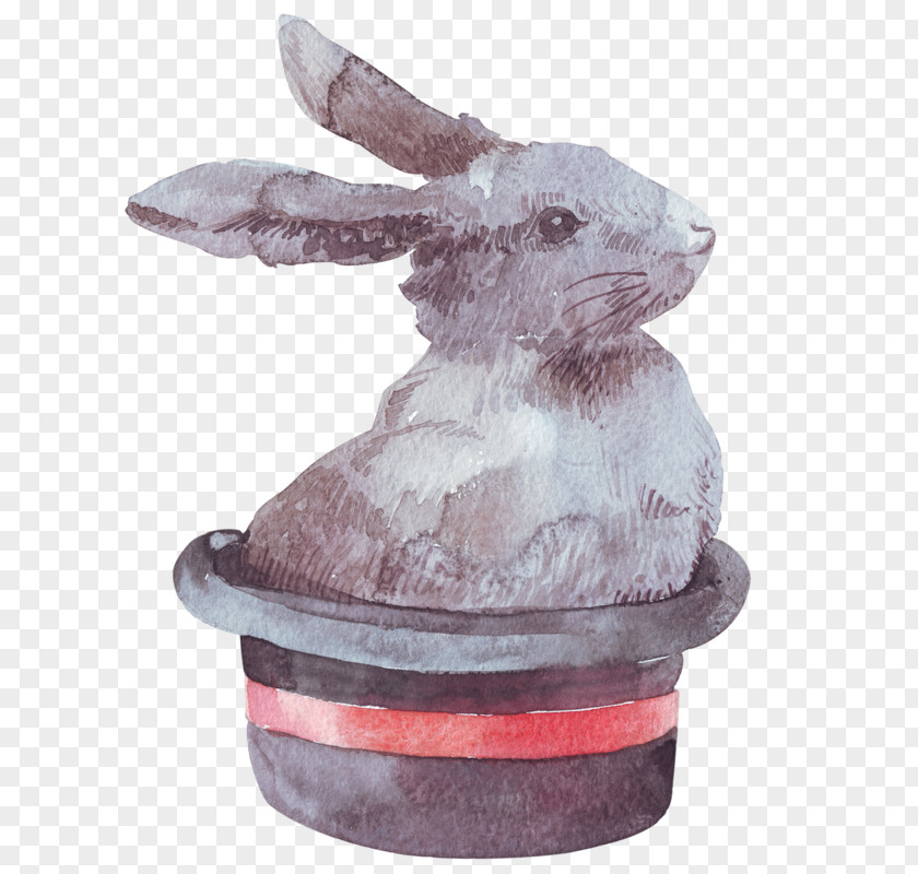 Easter Bunny Hare Rabbit PNG