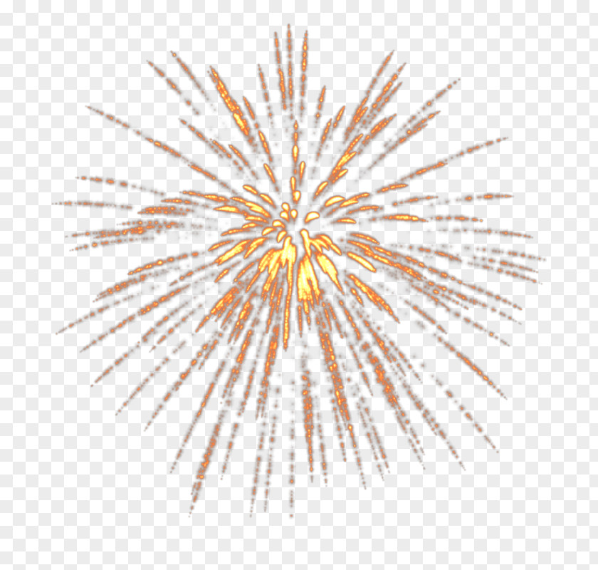 Golden Fireworks Victory Day Clip Art PNG