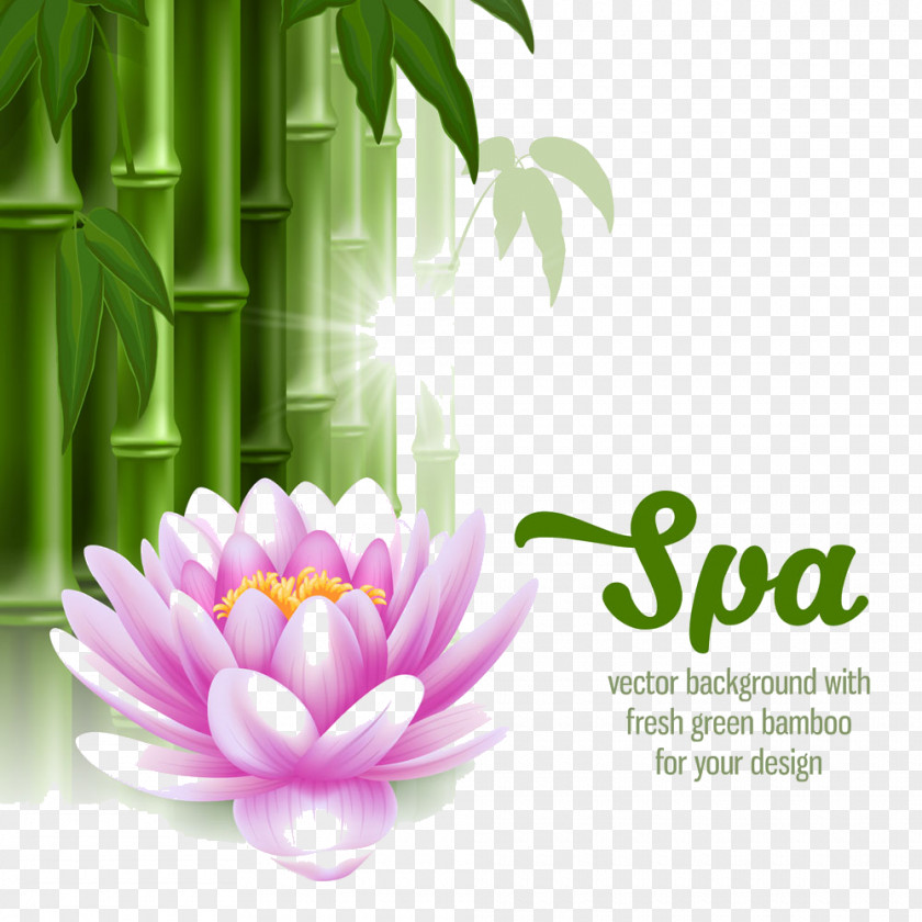 HL Bamboo Ago Spa Stone Massage Clip Art PNG