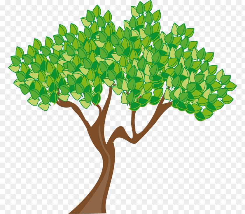 Money Tree Pictures Summer Clip Art PNG