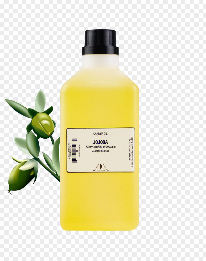 Pure Natural Plant Jojoba Oil Material Skin Carrier PNG