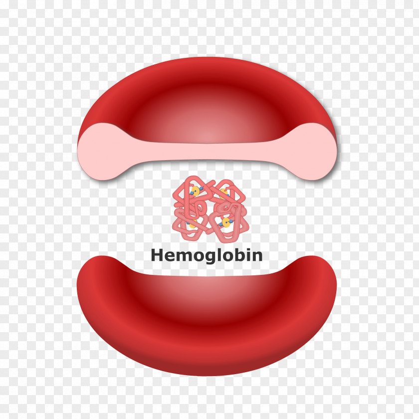 Red Vial Hemoglobin Blood Cell Molecule Heme PNG