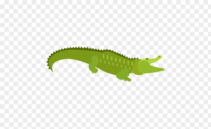 Saltwater Crocodile American Alligator Cartoon PNG