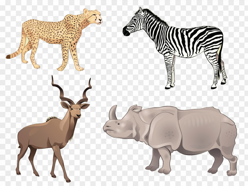 African Grassland Animals Africa Antelope Euclidean Vector Illustration PNG