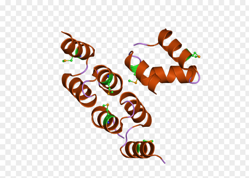 CBL Protein UBE2L3 Ubiquitin Ligase PNG