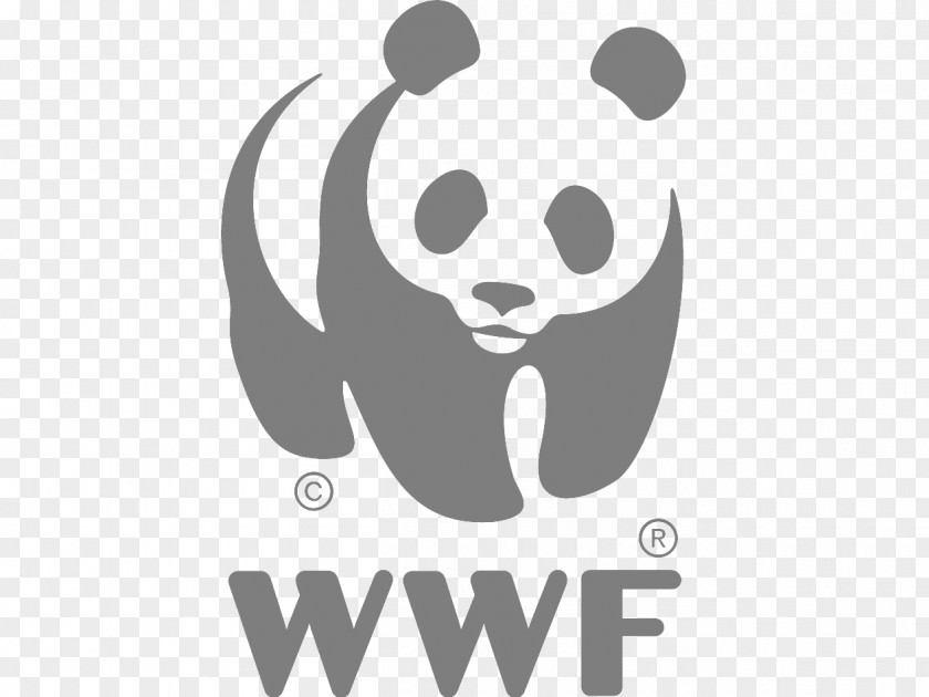 Dog Walking Logos World Wide Fund For Nature Giant Panda Conservation Sustainability Organization PNG