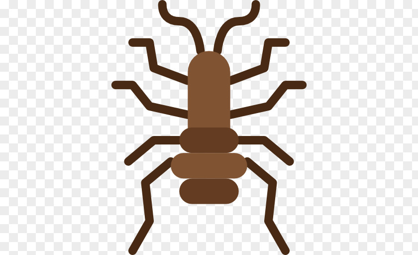 Insect Flea Clip Art PNG