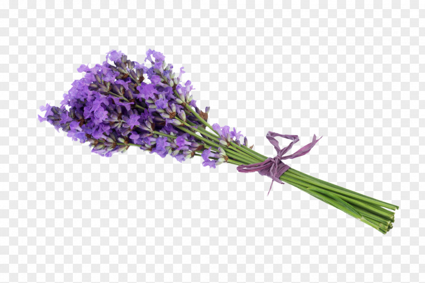 Lavender Bouquet Flower Stock Photography Getty Images PNG