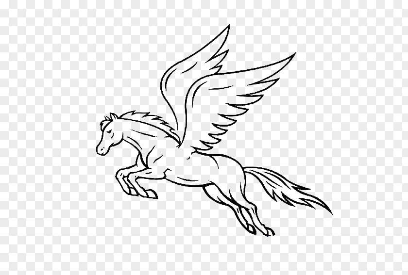 Pegasus Horse Drawing PNG