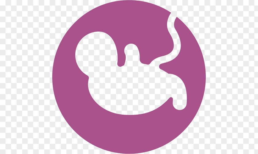 Single-Pack Uterus Infant Clip Art Clearblue Pregnancy Test PNG