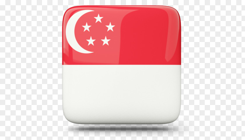 Travel Visa Flag Of Singapore Roaming Department Consular Affairs PNG