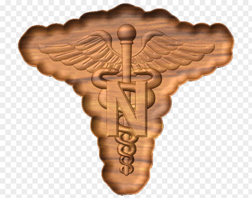 3d Model Home United States Army Nurse Corps Military Nursing PNG