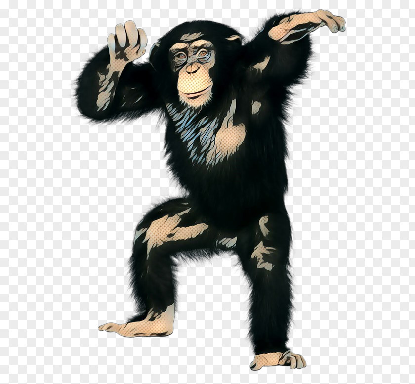 Costume Common Chimpanzee Clip Art PNG