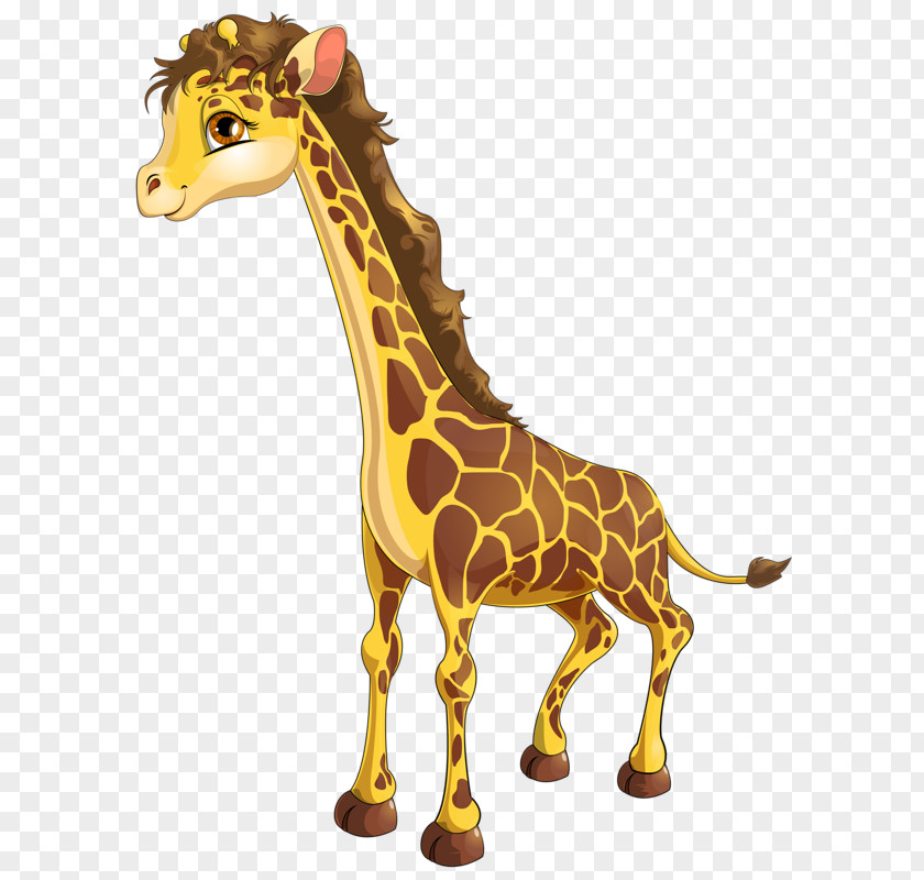 Cute Giraffe Northern Stock Photography Drawing Illustration PNG