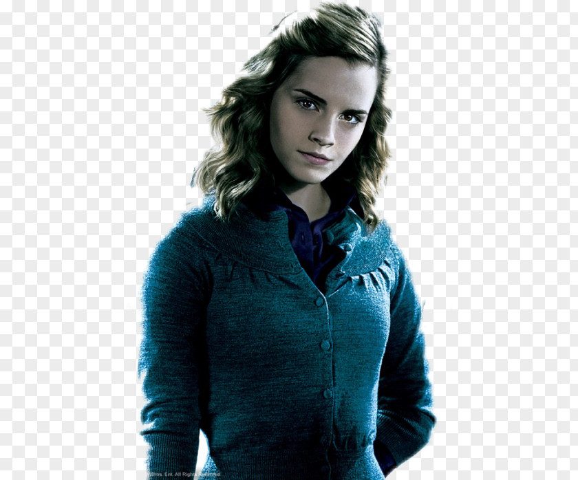 Emma Watson Hermione Granger Garrï Potter Ron Weasley Harry And The Philosopher's Stone PNG