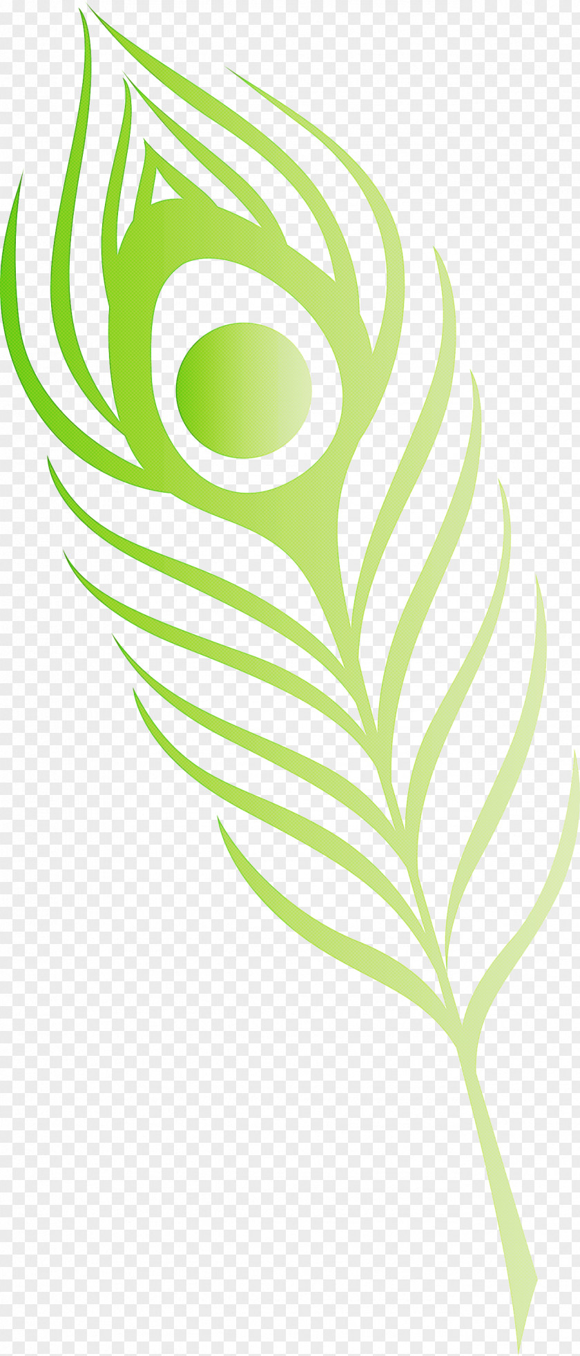 Feather PNG