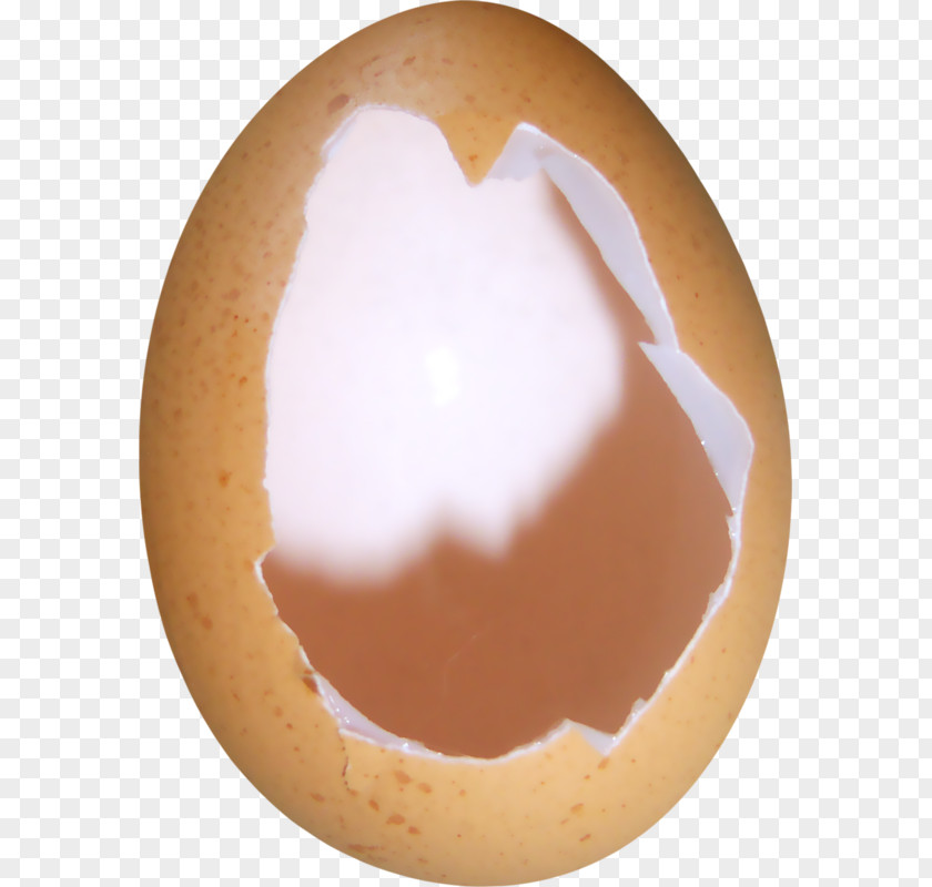 Pour Toujours Eggshell Chicken Image PNG