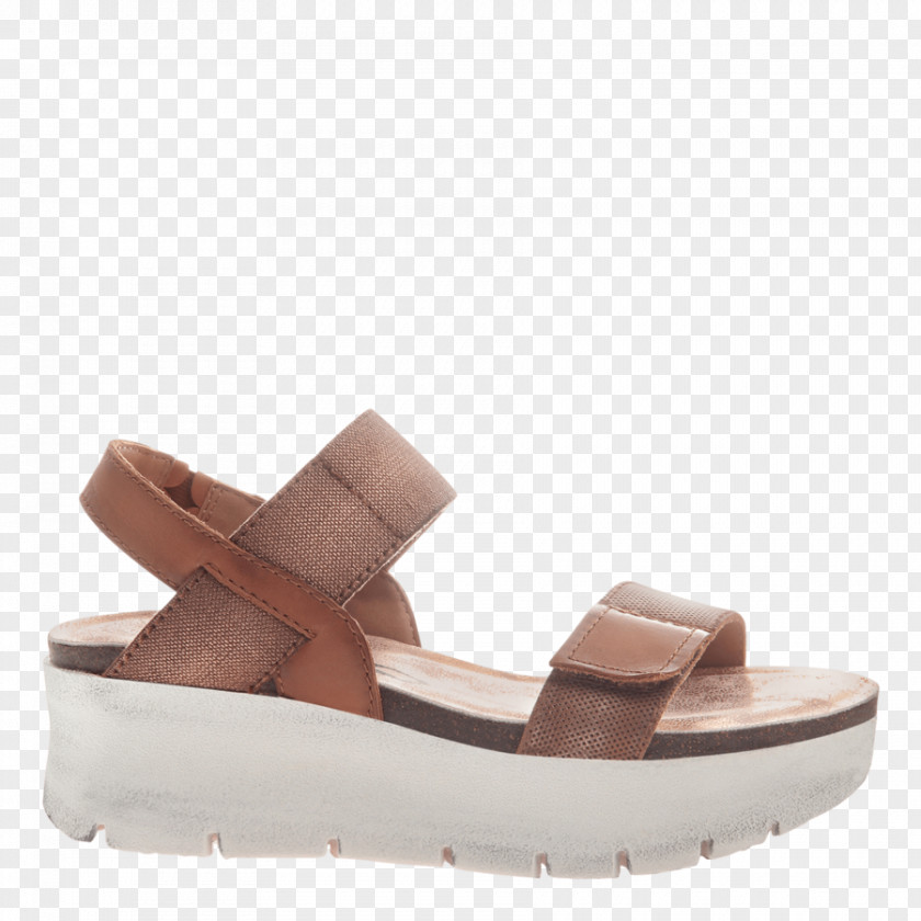 Sandal Wedge Platform Shoe Ballet Flat PNG