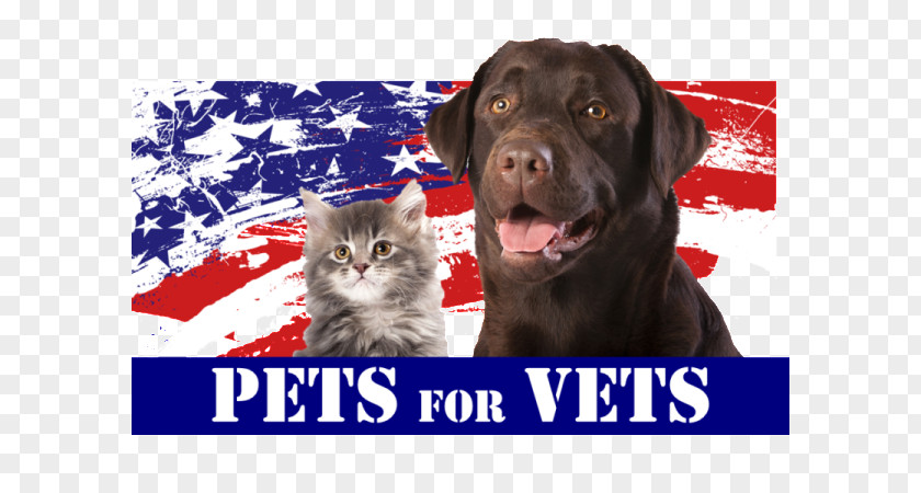 Simple Desk Calendar Dog Pets For Vets United States Animal Shelter PNG
