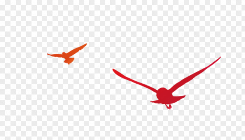 Vector Flying Eagles 19th National Congress Of The Communist Party China Flight Bird PNG
