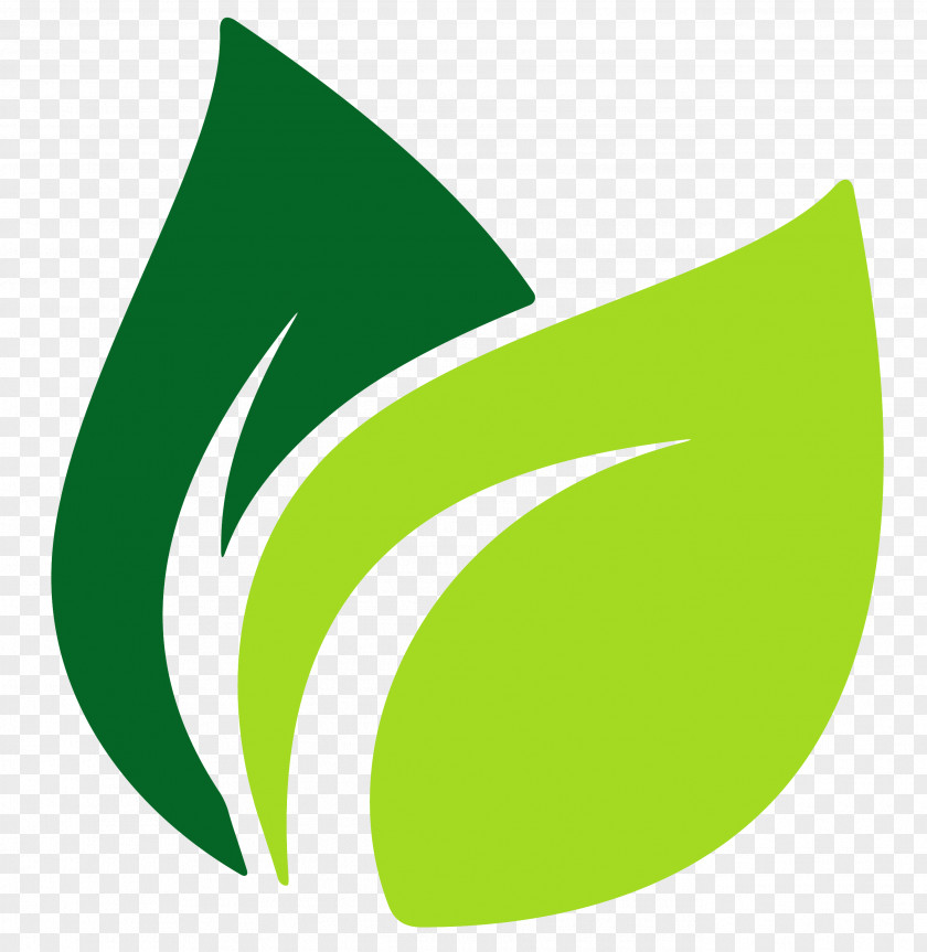 Banana Leaves Leaf Logo PNG
