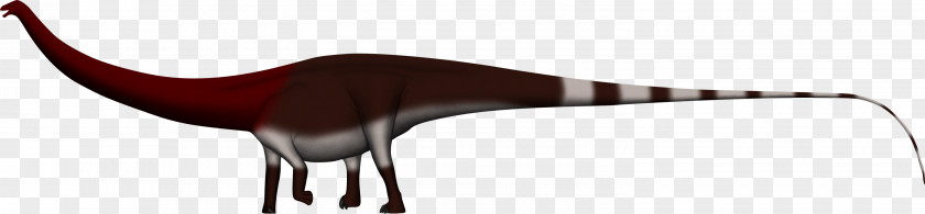 Barosaurus Dinheirosaurus Supersaurus Tyrannosaurus Lusotitan Spinosaurus PNG