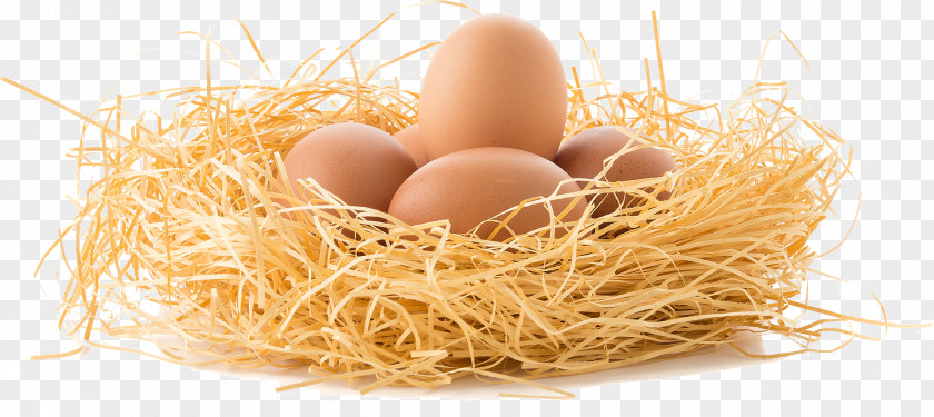 Golden Egg Chicken White Boiled Breakfast PNG