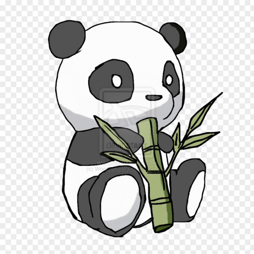 Panda Giant Drawing Bear Animation PNG